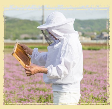 神戸養蜂場の取り組み